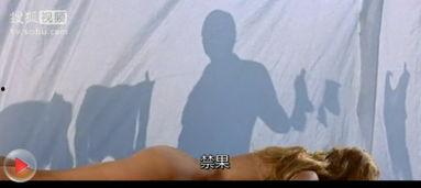现代豪放女在线观看,激情燃烧的青春岁月