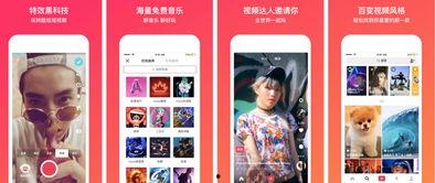 惊天爆料今日头条直播视频,惊天爆料！今日头条直播视频揭露惊人内幕