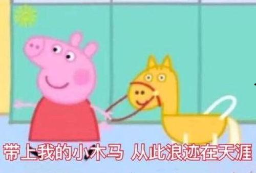 网红小猪爆料视频,揭秘娱乐圈幕后真相