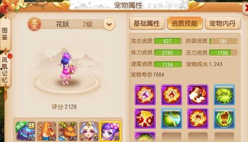 梦幻手游夏日爆料攻略视频