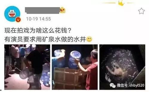 哈尔滨明星爆料视频,揭秘娱乐圈幕后真相