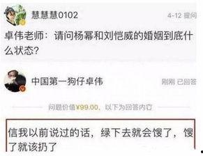 卓伟爆料王鸥最新信息,王鸥神秘事件再掀波澜