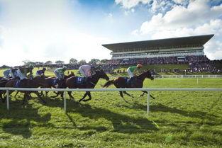 利默里克最新爆料,揭秘事件背后惊人真相